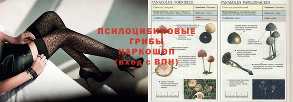 spice Гусь-Хрустальный