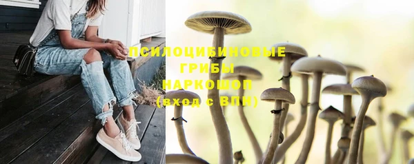 дживик Горнозаводск