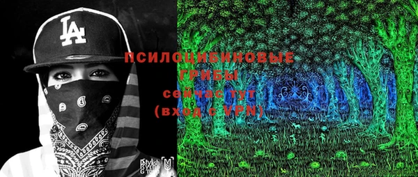 spice Гусь-Хрустальный
